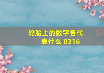 轮胎上的数字各代表什么 0316